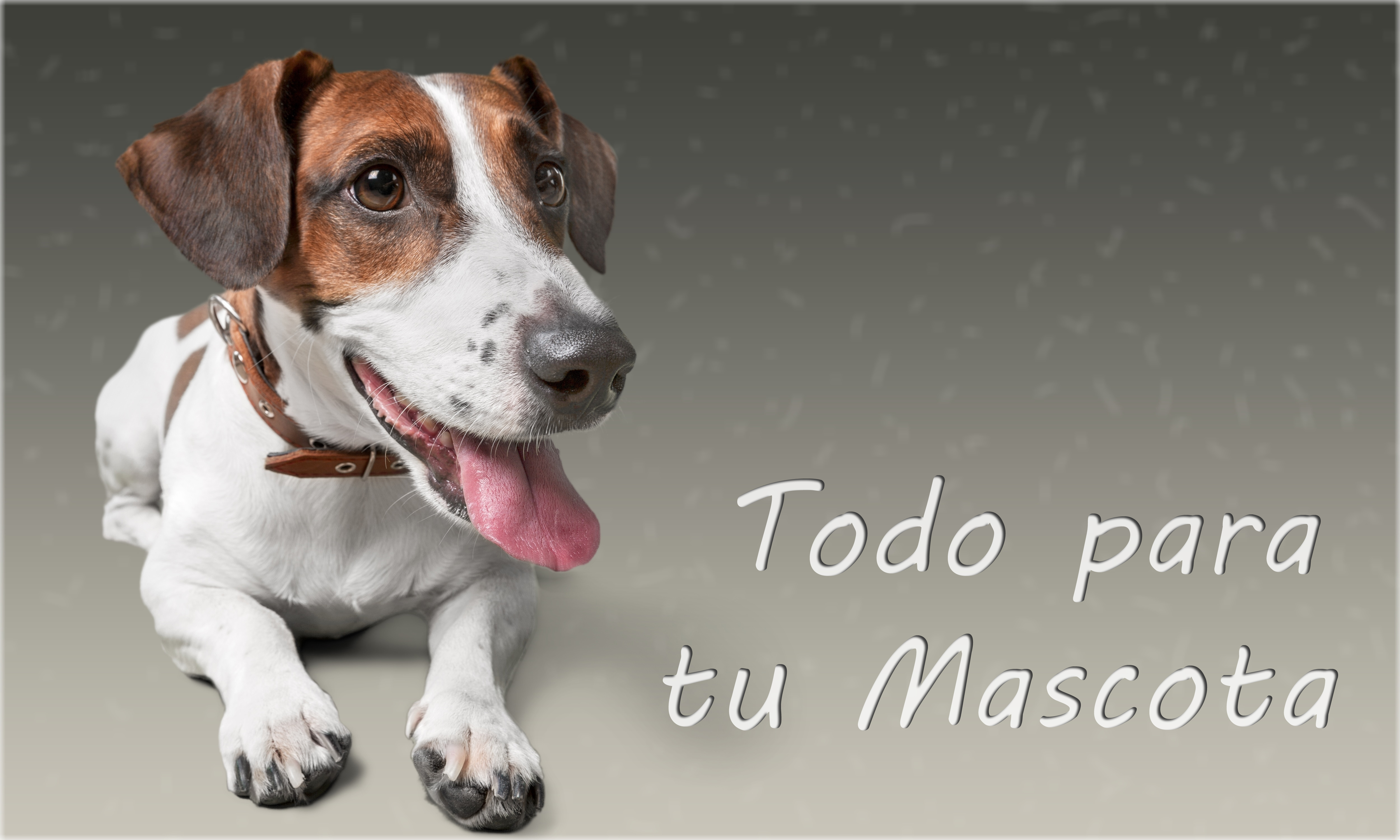 3-Pet